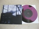 More Than Life BraveEnoughToFail Have Heart Miles Away Touche Amore La Dispute