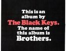 Brothers by The Black Keys (Vinyl, May-2010, 2 Discs, V2 Int'l)