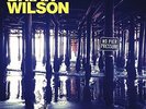 BRIAN WILSON - NO PIER PRESSURE - NEW VINYL LP