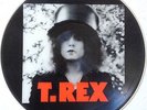T.REX - THE SLIDER (U.K. PIC/DISC)