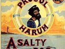 Procol Harum - A Salty Dog/Shine On Brightly GER 1975 2x Lp vg++ riecht muffig