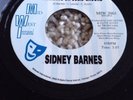 Sidney Barnes Standing On Solid Ground WMI bargain