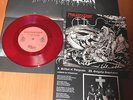PROCLAMATION / TEITANBLOOD 7