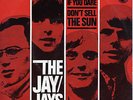 THE JAY-JAYS - Come back if you dare / Don't sell the sun Rare '66 HOLLAND 7