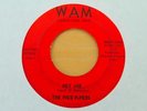 THE PIED PIPERS Hey Joe/Hold On I'm Comin 45 (WAM, 1966) Ohio Garage Punk HEAR