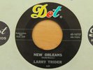 LARRY TRIDER New Orleans/So Fine 45 (Dot 16727) EX Rockabilly Garage Rocker HEAR
