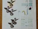 FOALS - Live - 2007 UK Transgressive Records Limited Edition 12
