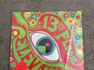 13TH FLOOR ELEVATORS Psychedelic Sounds 1966 RARE MONO IN SHRINK with OG Sticker