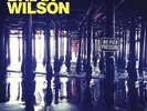 BRIAN WILSON NO PIER PRESSURE NEW DOUBLE VINYL LP IN STOCK BEACH BOYS