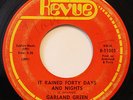 GARLAND GREEN-IT RAINED FORTY DAYS AND NIGHT /GIRL I LOVE YOU-NORTHERN 45 on REV