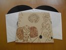 DEVENDRA BANHART - REJOICING IN THE HANDS - 12