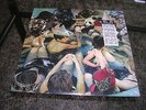 Panda Bear - Person Pitch LP - Paw Tracks 2007 Animal Collective - Sealed New