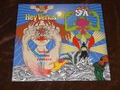 SUPER FURRY ANIMALS - HEY VENUS LP