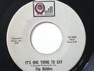 THE RIDDLES It's one thing to say 60's Mod Garage 45 (Quill) *HEAR