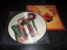 Kate Bush - The Kick Inside RARE 1978 First Press Vinyl LP Picture Disc Ex/VG+