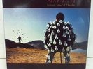 PINK FLOYD / DELICATE SOUND OF THUNDER 2LP