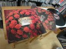 THE STRANGLERS NO MORE HEROES 1st 1977 PRESS IMMACULATE VAULT COPY