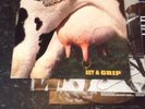 AEROSMITH Get A Grip 2 LP Double Vinyl Rare