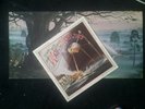 War of the worlds vinyl record 12