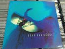 Dead Can Dance ?– Spiritchaser 12