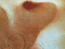 Pink Floyd - Meddle (LP, Album, Gat) - Vinyl - 73947