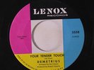 DEMETRIUS: Your Tender Touch / Hold Back Tomorrow 45 Oldies