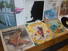 REGGAE LP LOT: YELLOWMAN,  KING MELLOW YELLOW, BOB MARLEY...  BIG YOUTH