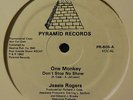 Jessie Rogers-One Monkey-Boogie/Funk 12