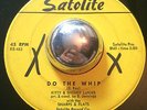 R&B ROCKER Kitty & Sheeny LaNier DO THE WHIP / THE JERK Satolite 45 rare dancer