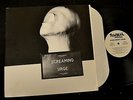 Screaming Urge Raw Deal 42136 Self Titled PUNK