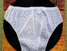 Alice Cooper School’s Out  1972  Vinyl LP with Blue Panties 