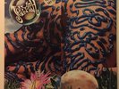 Jellyfish - Bellybutton 1990 Charisma vinyl LP promo Jason Falkner Roger Manning