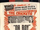 CRICKETS-HOLLY-7