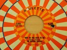 THE RHYTHM RASCALS Why Do You Have To Go/Girl By My Side 45 Sweet Soul HEAR