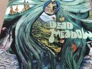 Dead Meadow Stoner Green Vinyl LP