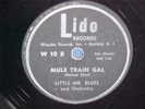 New Jersey/Unknown R&B shouter 78/Little Mr. Blues/vinyl flexi/Lido/VG++