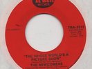 THE NEWCOMERS-THE WHOLE WORLD'S A PICTURE SHOW(GREAT 70s)-TRUTH-***NICE COPY***