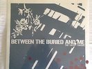 Between The Buried And Me- Silent Circus LP Grey Marble Vinyl Victory Records