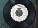 GARY HODGE NOT FOR LOVE OR MONEY/TOO OLD TO CRY Rockabilly 45 DOLTON PROMO No. 7