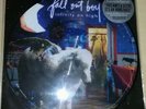 FALL OUT BOY - Infinity on High Picture Disk Vinyl 12'' LP Limited Poster