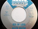 ALLEN WAYNE 45 Sea Of Love / No CHARTBUSTER label Soul R&B s304