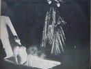 MUTANTES 1970 A Divina Comedia Psych & Tropicalia RARE MONO LP BRAZIL HEAR