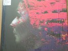 Steven Wilson Hand Cannot Erase 180g 2 LP Vinyl Special Edition with Art Print