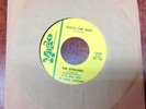 THE INTRUDERS RARE 60S  LOCAL GARAGE BAND I'll Go On/That's The Way Single 60's