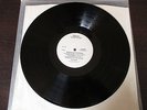 Rod Stewart--PROMO--Every Picture tells a story--LP- Vinyl--Rock--White Label--