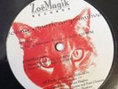 young american primitive these waves VG+ EP LP record Vinyl house techno DJ 12