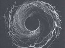 Dawn Of Midi - Dysnomia Vinyl 2LP + Digital NEU 0451773