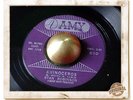 Stan Robinson Rhinoceros R&B ROCKER ROCKABILLY SOUL POPCORN HEAR 45