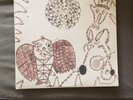 Devendra Banhart Rejoicing In The Hands/ Nino Rojo Original Press Double Lp