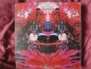 Blue Mountain Eagle Self-Titled Original 1970 ATCO Records SD-33-324 Stereo EX